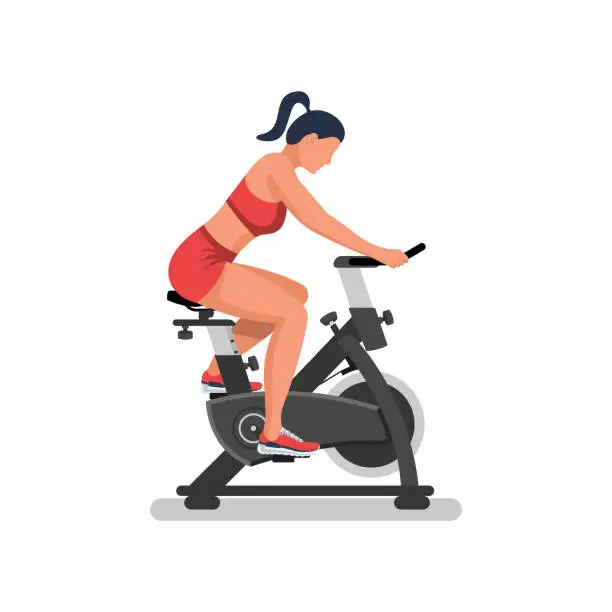 Vector illustration of Girl on an exercise bike. A beautiful athletic girl is doing fitness.