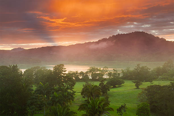 morgen in den regenwald - orinoco river stock-fotos und bilder