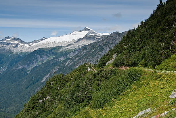 каскад долина реки - north cascades national park awe beauty in nature cloud стоковые фото и изображения