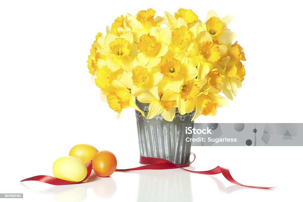 Pasqua daffodils - Foto stock royalty-free di Arancione