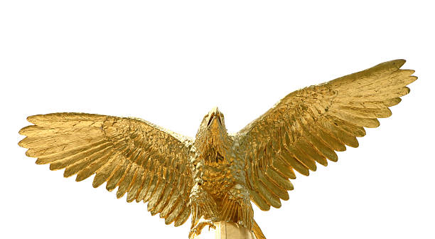 Golden Eagle Golden Eagle. eagle bird stock pictures, royalty-free photos & images
