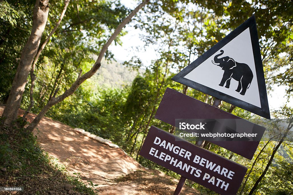 Panneau routière - Photo de Arbre libre de droits