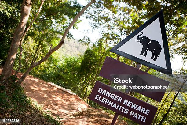 Road Sign Stock Photo - Download Image Now - Animal Crossing Sign, Animal Imitation, Asia
