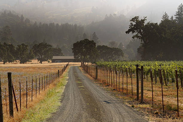 weingut & ranch - california napa valley vineyard farmhouse stock-fotos und bilder