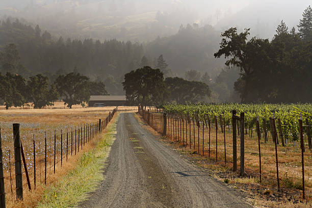 viña & rancho - california napa valley vineyard farmhouse fotografías e imágenes de stock