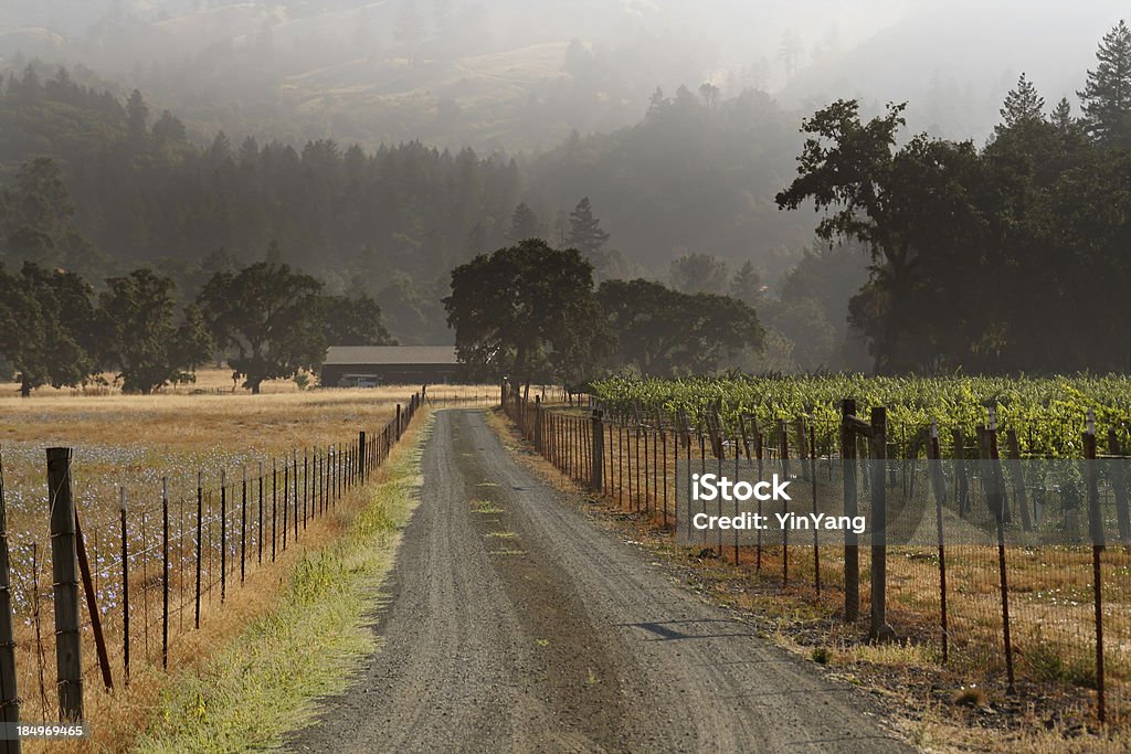 Vigneto & Ranch - Foto stock royalty-free di Alexander Valley