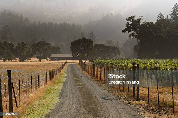 Виноградник Ранчо — стоковые фотографии и другие картинки Alexander Valley - Alexander Valley, Виноградник, Калифорния