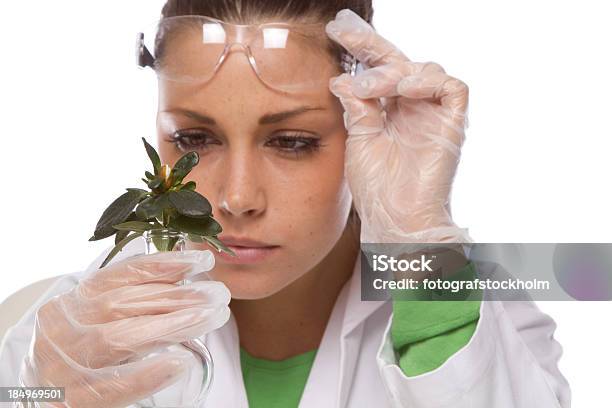 Biotechnologia - zdjęcia stockowe i więcej obrazów Analizować - Analizować, Badaczka, Badania