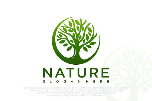 Abstract Tree of life logo . Botanical plant nature symbols . Vector illustration .