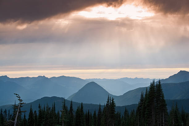 Sunlight Streaking Through the Clouds "Sunlight Streaking Through the Clouds, Mount Rainier National Park, Washington State" jeff goulden mount rainier national park stock pictures, royalty-free photos & images