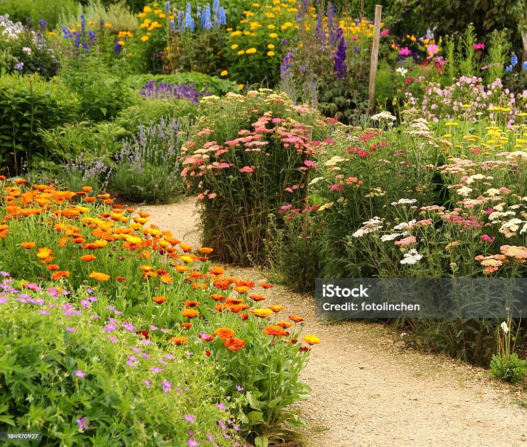 Kräuter und Blumen Garten - Lizenzfrei Gartenanlage Stock-Foto