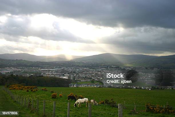Ирландия Страна Лошадей — стоковые фотографии и другие картинки Небольшой город - Небольшой город, Без людей, Белый