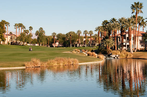 istock Lush green golf course in the Palm Springs desert 184972773