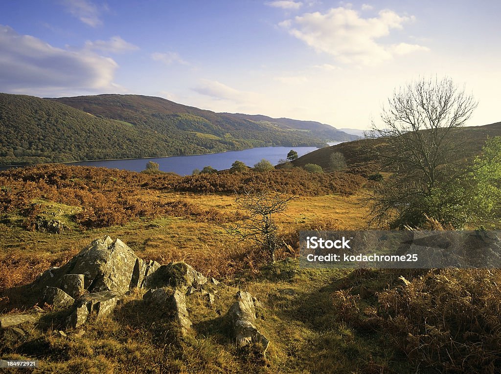 lake district - Zbiór zdjęć royalty-free (Jezioro)