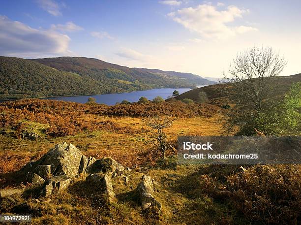 Lake District - Fotografias de stock e mais imagens de Lago - Lago, Ao Ar Livre, Beleza natural