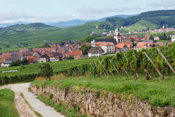 istock French Landscape: Village Saint Hippolyte in Alsace 184972940