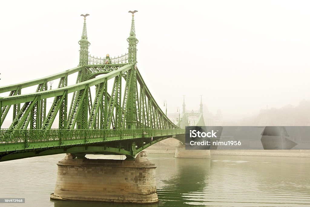 Ponte della Libertà in una nebbia giorno. Budapest. - Foto stock royalty-free di Acqua fluente