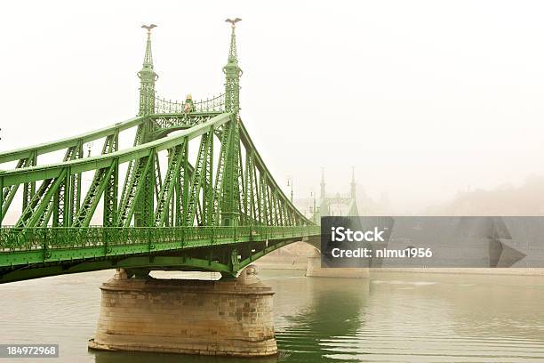 Ponte Della Libertà In Una Nebbia Giorno Budapest - Fotografie stock e altre immagini di Acqua fluente