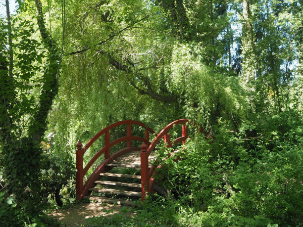 istock Japanese style red bridge in a park on a sunny day in spring 1849731413