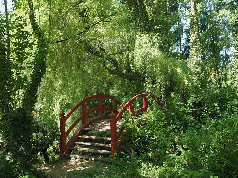 A bright red Japanese style bridge in a park with a background of fresh green vegetation, color contrast red and green, concept of meditation, new paths