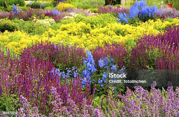 Kräuter Und Blumengarten Stockfoto und mehr Bilder von Alternative Medizin - Alternative Medizin, Blau, Blume