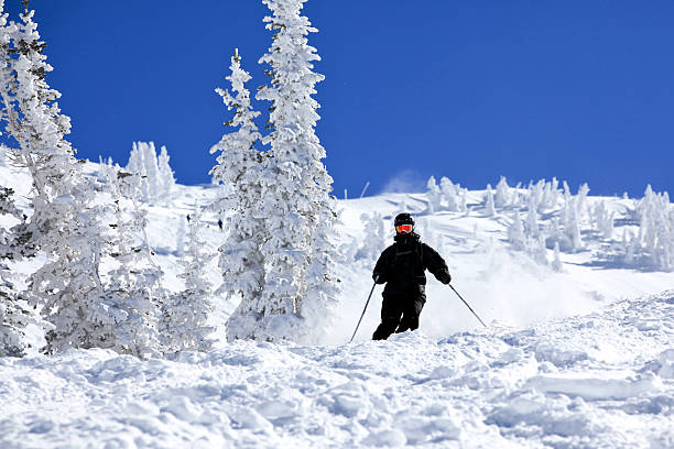 istock Man Skier in Action in Powder Snow With Clear Sky 184973441
