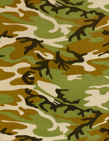 Camouflage Background Stock Photo - Download Image Now - Abstract, Armed  Forces, Army - iStock