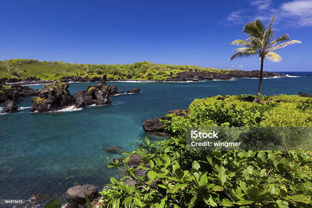 Idílico bay com Palmeira e oceano azul, maui, havaí - Royalty-free Ao Ar Livre Foto de stock