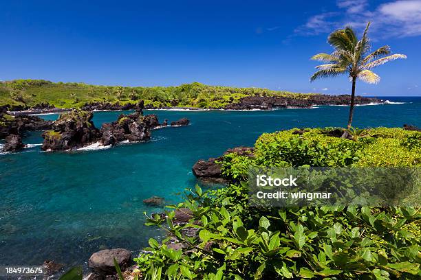 Idílico Bay Com Palmeira E Oceano Azul Maui Havaí - Fotografias de stock e mais imagens de Ao Ar Livre