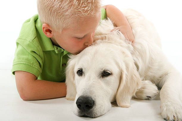 Child with dog stock photo