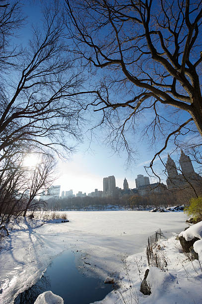istock Central Park New York Winter Scene Frozen Pond 184973834