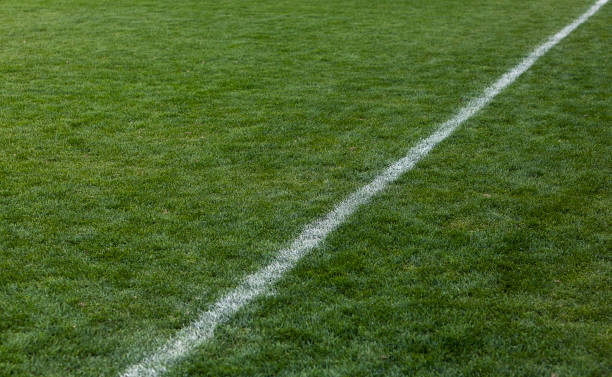 istock Football green grass field 184973886