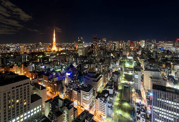 istock Aerial View of Tokyo at Night 184973940