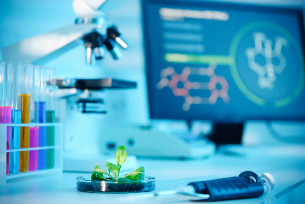 biotechnologia - agrigulture zdjęcia i obrazy z banku zdjęć