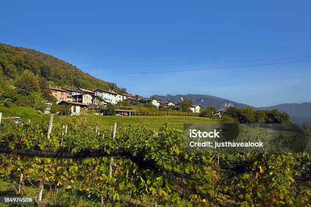 Foto de Vila E Dos Vinhedos No Cantão De Ticino e mais fotos de stock de Aldeia - Aldeia, Alpes europeus, Alpes suíços