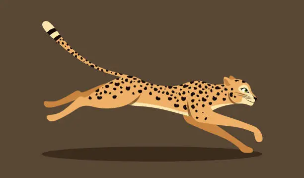 Vector illustration of Cute running leopard