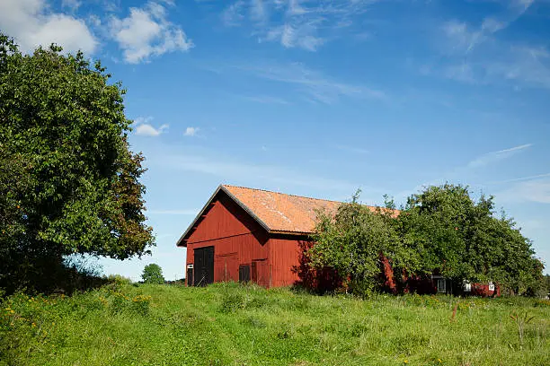 Red farm building on a summer's day.