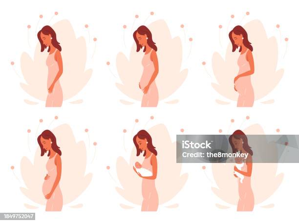 Conception Caroon Pregnancy Calendar Concept Woman Goes From Conception To Childbirth ...