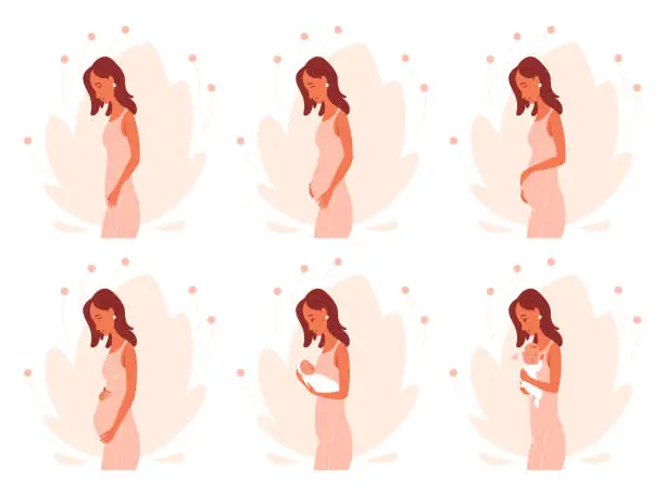 Vector illustration of Pregnancy calendar concept. Woman goes from conception to childbirth. Stages of changes in female body during pregnancy. Cartoon flat vector set isolated on white background