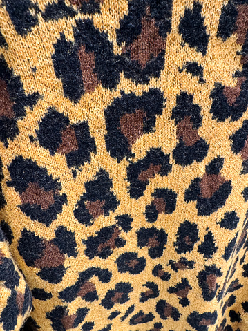 Stock photo showing close-up view of a knitted jumper with animal print design of Leopard (Panthera pardus) markings. In nature the rosettes of leopards are believed to help break up their outline and shape, working in the same way as camouflage and confusing potential prey.