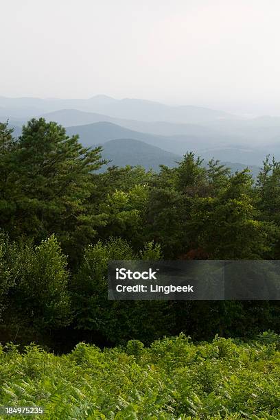 Pantorrilla Con Vista A Las Montañas Skyline Drive Del Parque Nacional Shenandoah Foto de stock y más banco de imágenes de Aire libre