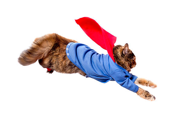 Supercat in flying action Supercat in flying action. cape garment stock pictures, royalty-free photos & images