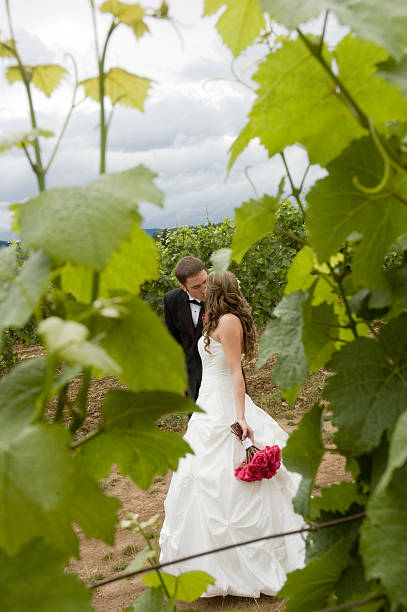 жених и невеста целовать, ходить вдоль пути - meteorology elegance outdoors loving стоковые фото и изображения
