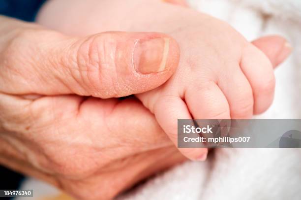 Agarrar De La Mano Foto de stock y más banco de imágenes de Familia - Familia, Familia multigeneracional, Abuela