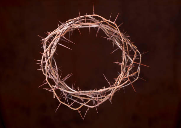 가시관 - easter crown of thorns forgiveness savior 뉴스 사진 이미지