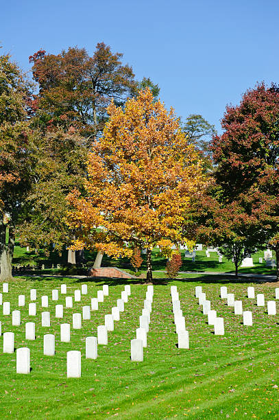 istock Arlington National Cemetery with colorful trees 184976623