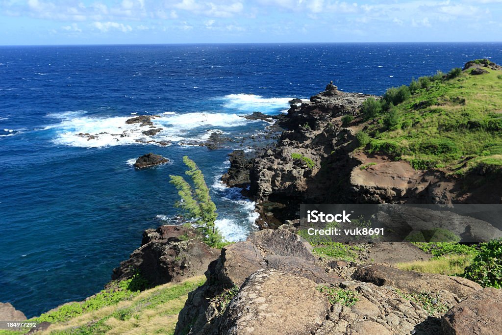 Costa de Maui - Foto de stock de Atividade Recreativa royalty-free