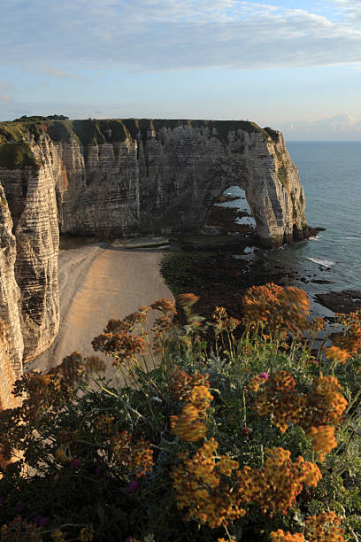 istock white cliffs and natural arches at Etretat in French Normandy 184977895