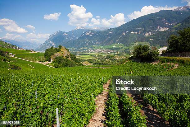 Vineyard Stockfoto und mehr Bilder von Agrarbetrieb - Agrarbetrieb, Anhöhe, Berg