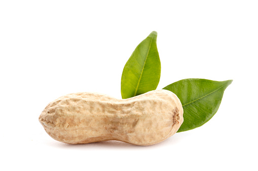 Raw peanuts on white background with green leaf. Healthy snack ona white background.Top view. close-up.